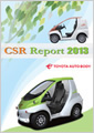 Environmental & Social Report 2013