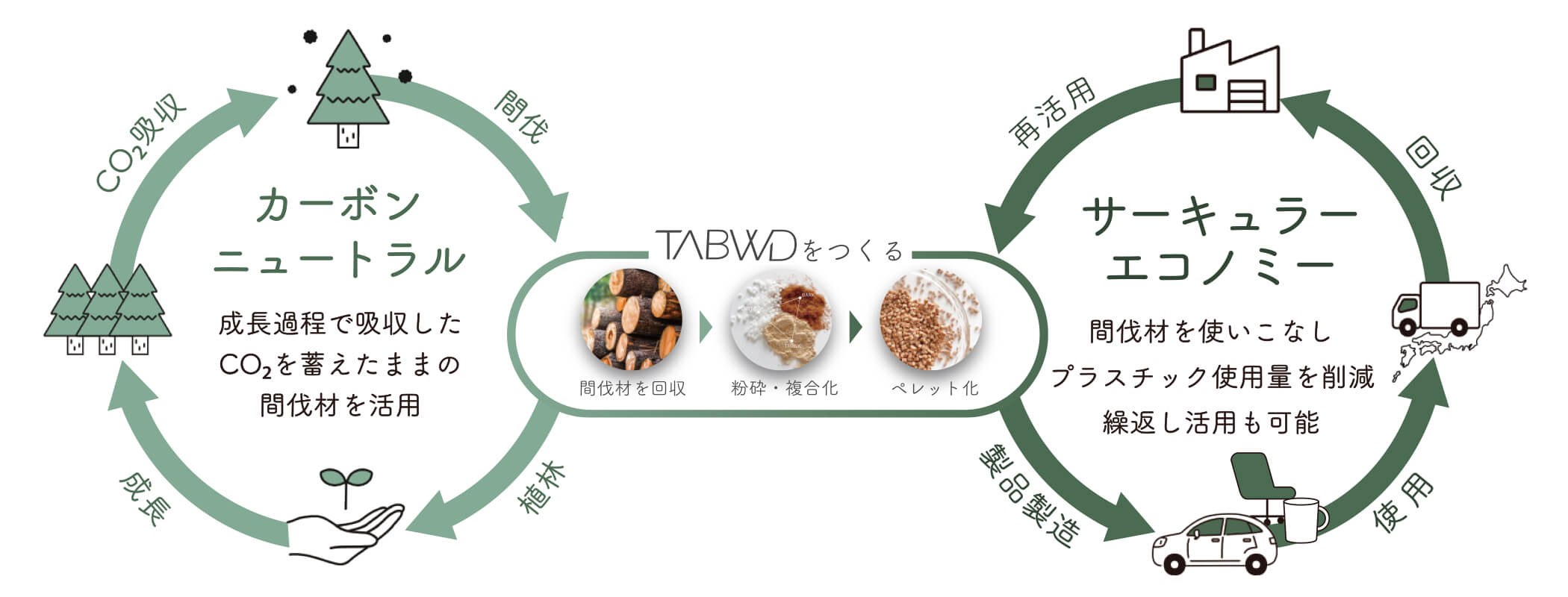 tabwd_04