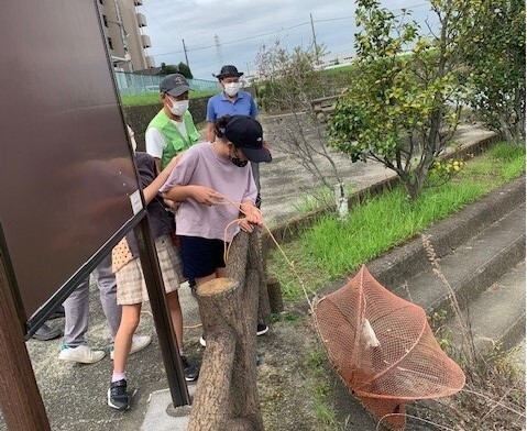 駆除活動の様子